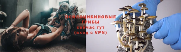 MESCALINE Гусев