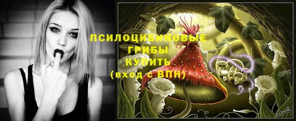 марихуана Гусиноозёрск