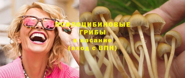 марихуана Гусиноозёрск